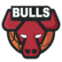 芝加哥公牛 队徽
